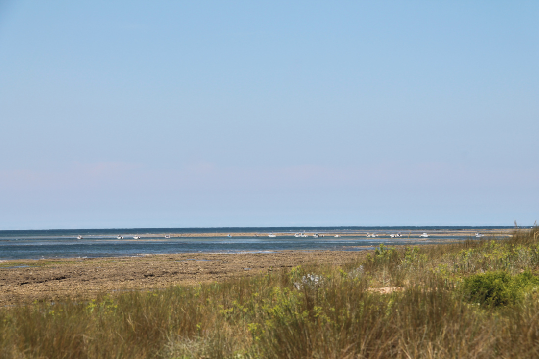 Plage de Biroire - Ile d'Oléron