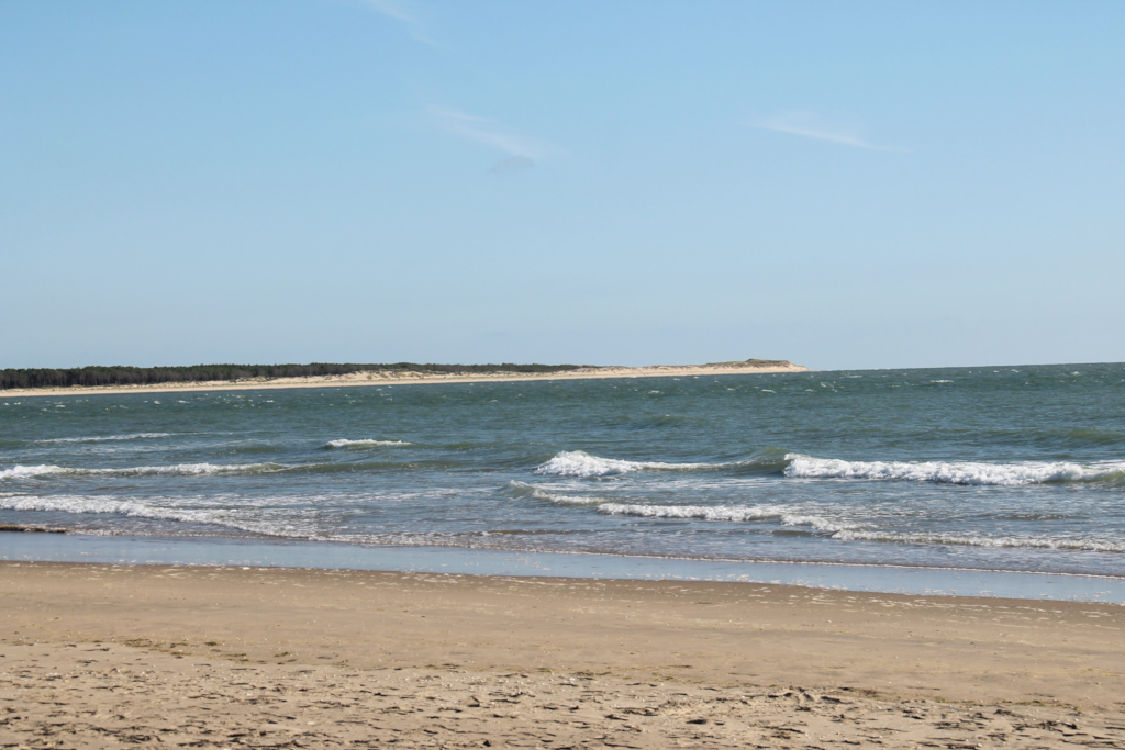 Plage de Gatseau- Ile d'Oléron