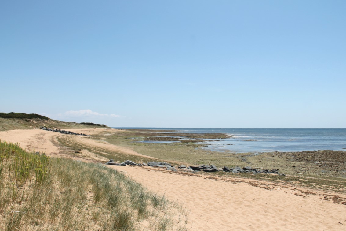 Plage de Biroire - Ile d'Oléron