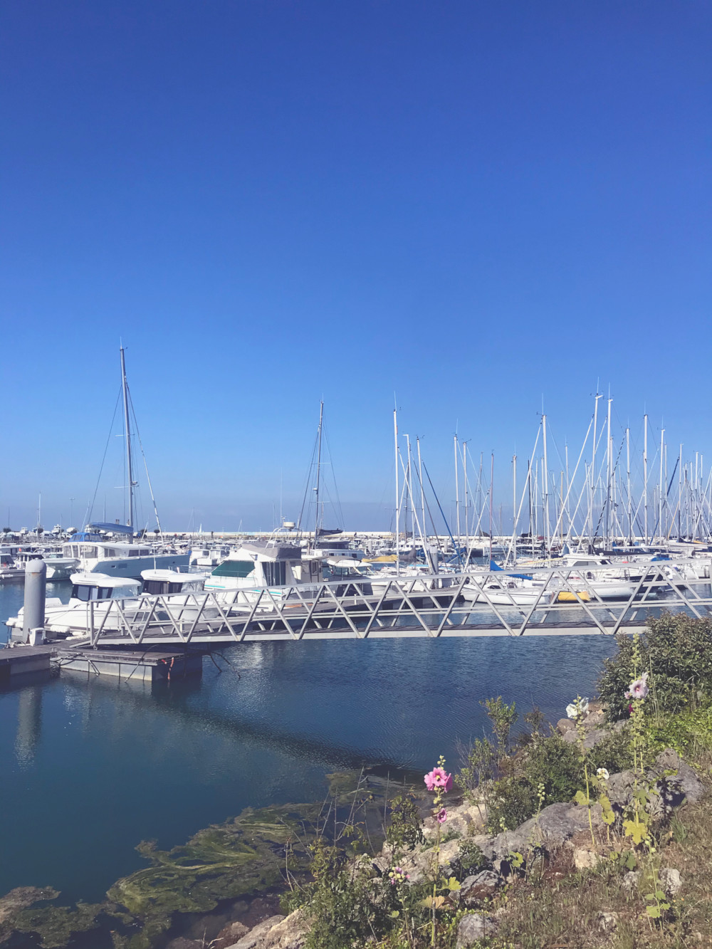 Port de Saint-Denis-d'Oléron