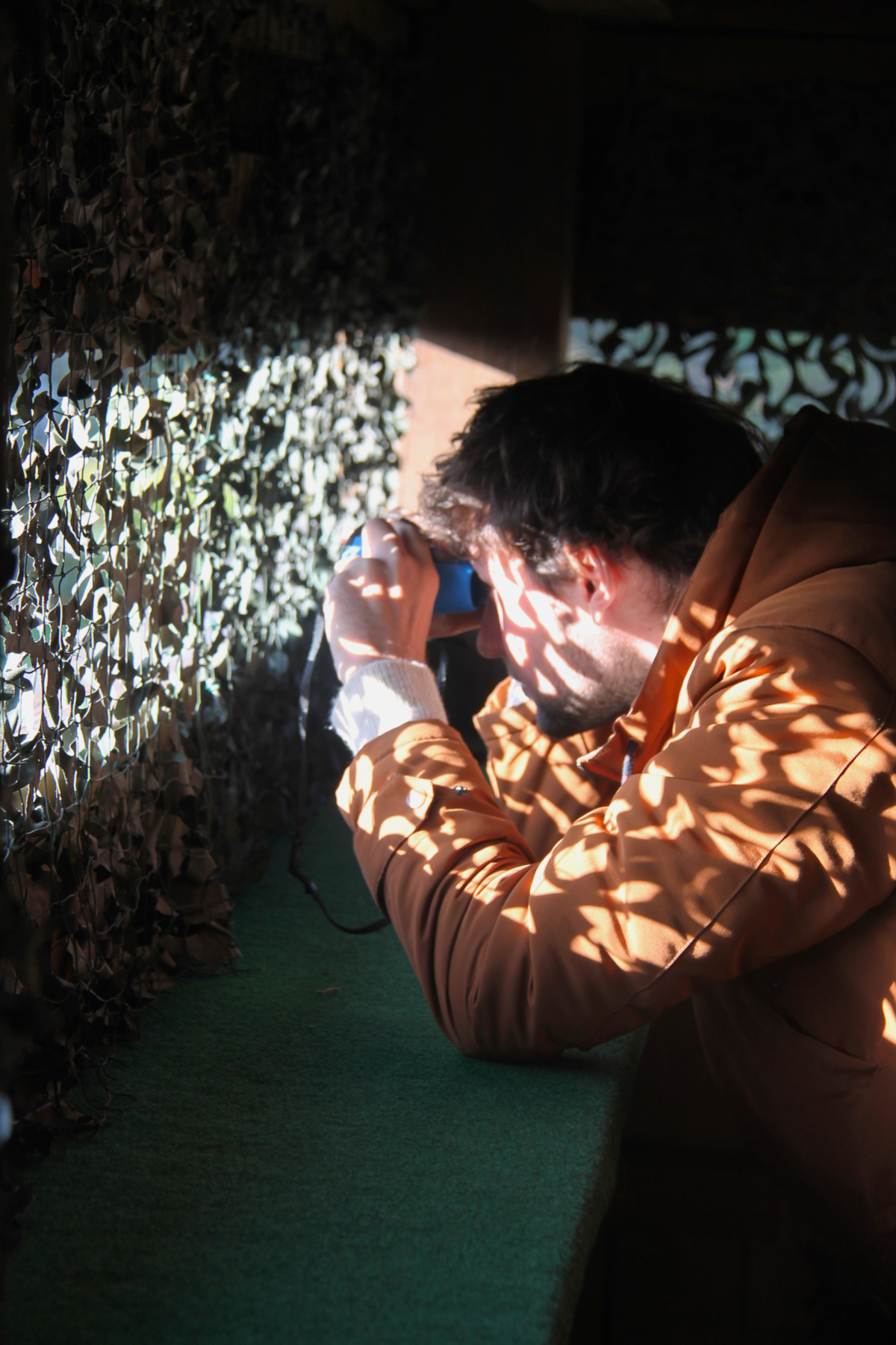 Le brame du cerf au château de Chambord